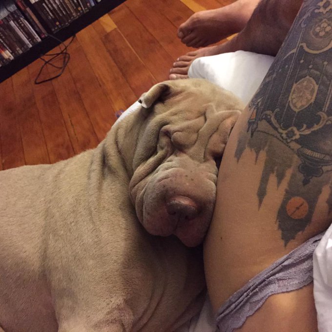 This piggy http://t.co/KHLzbrzIk7