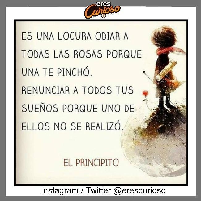 EresCurioso's tweet photo. #ElPrincipito http://t.co/vtlCkZKR3S