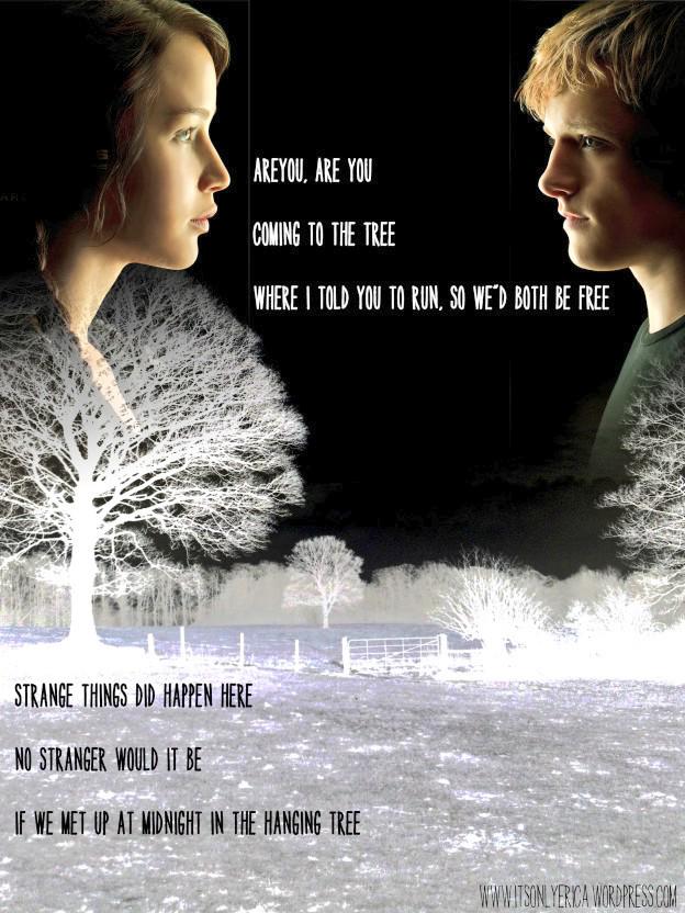 themockingjay6's tweet image. 