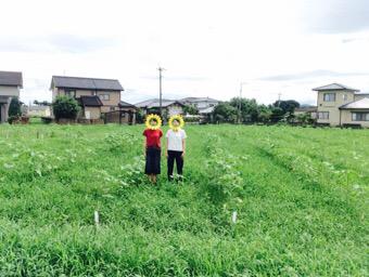013Nkm's tweet photo. ひまわり畑来たけどうちらしか咲いてなかった http://t.co/b8xikYUTEw