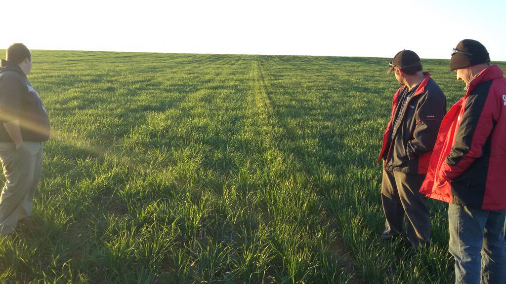rootbootfarmer's tweet image. Lowbank Ag bureau today. Waikerie SA. 150mm total year rainfall. #Fathom left #compass right. #rootboot 10" spacings