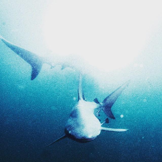 Everyone needs some #light  Waterproof #ProFoto