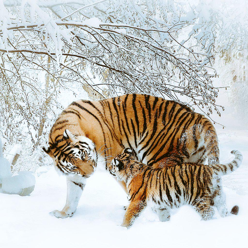 gunkgn (@jaygris24) on Twitter photo 