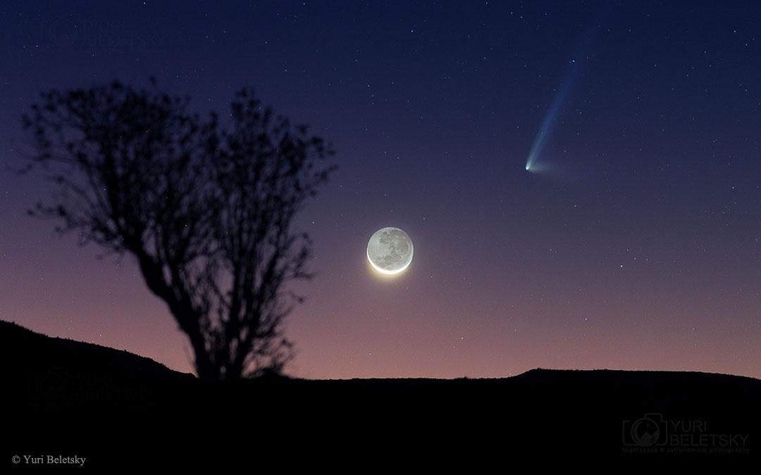 LIVE Comet Data (@LiveCometData) / Posts / X
