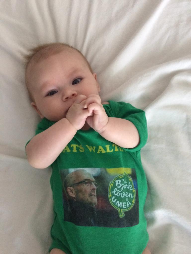 Ingospojk's tweet image. Vart tog du vägen Mats? #björklöven #twittpuck