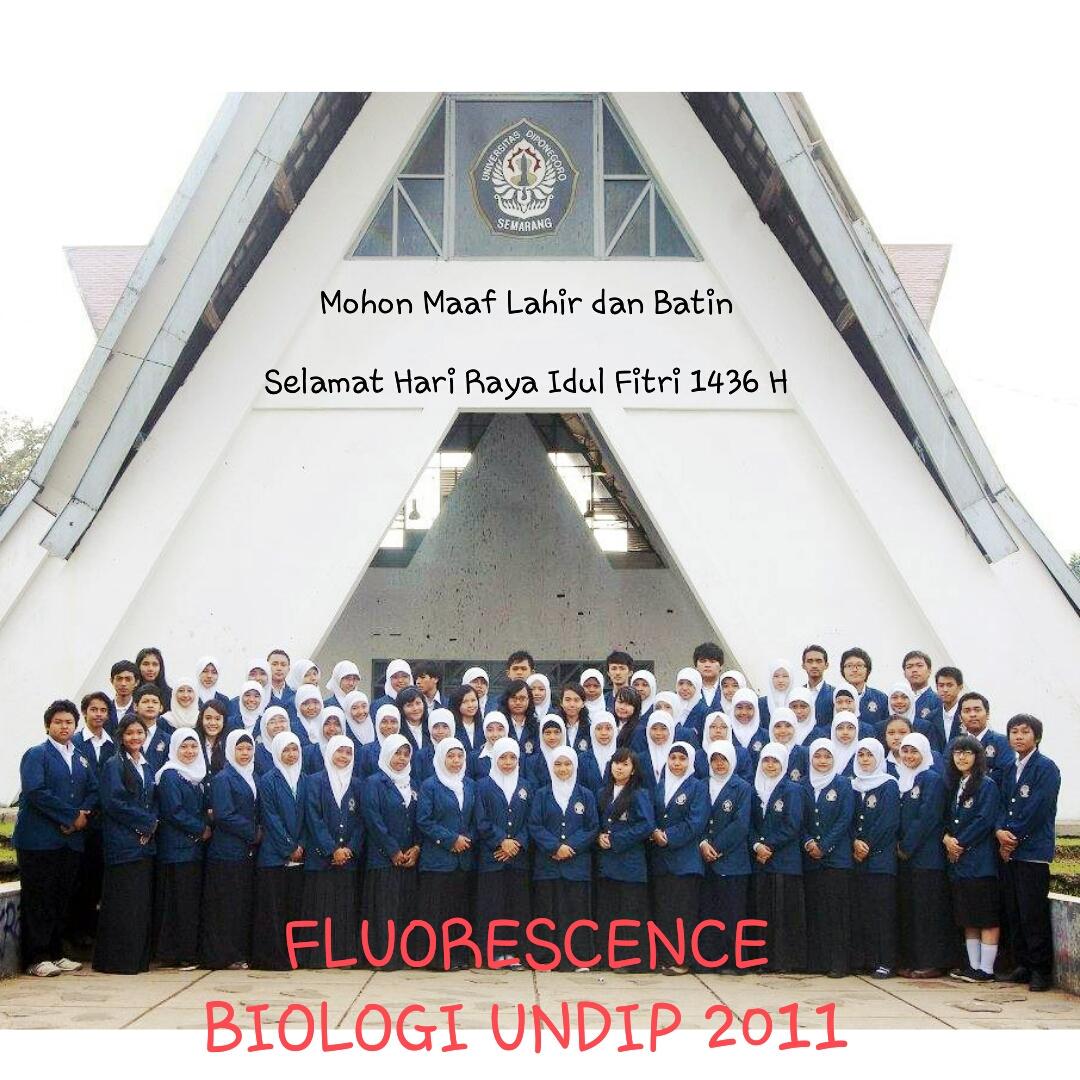 Fluorescence11's tweet photo. Segenap Keluarga Kecil Fluorescence 2011 Mengucapkan Mohon maaf Lahir dan Batin ya. Selamat Hari Raya Idul Fitri :)) http://t.co/q6EfsucEoC