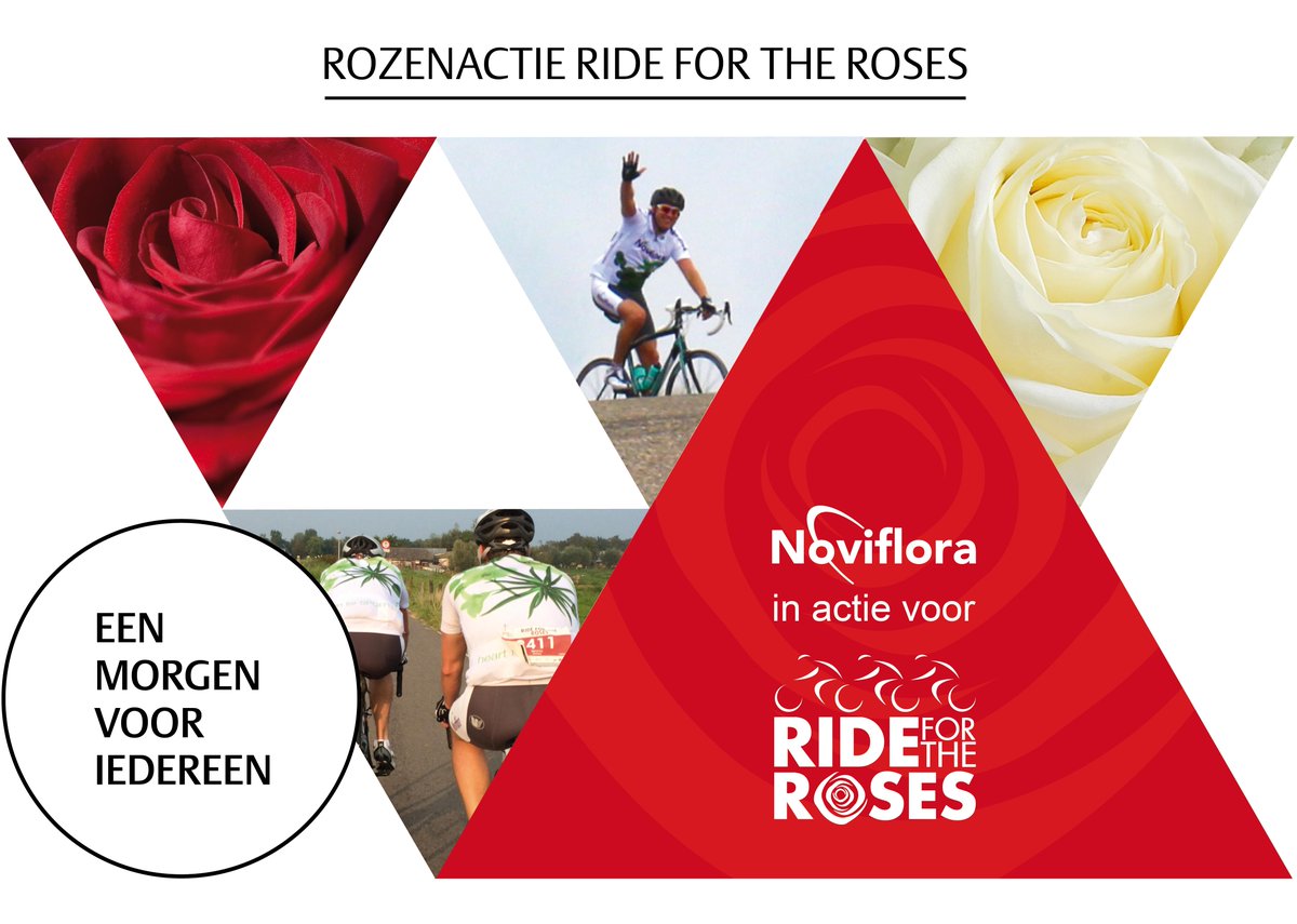Noviflora Holland BV tweet media