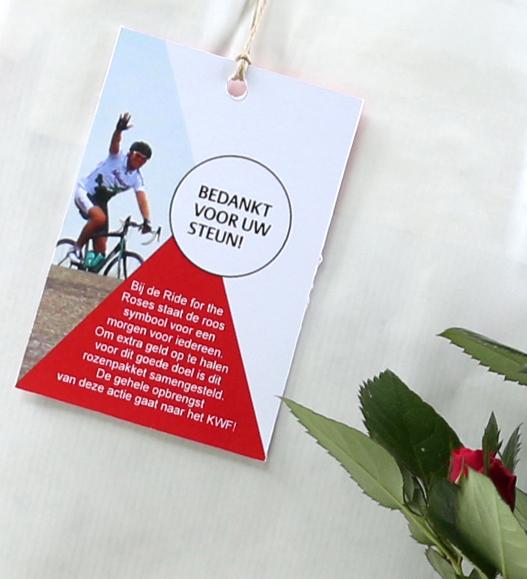 Noviflora Holland BV tweet media