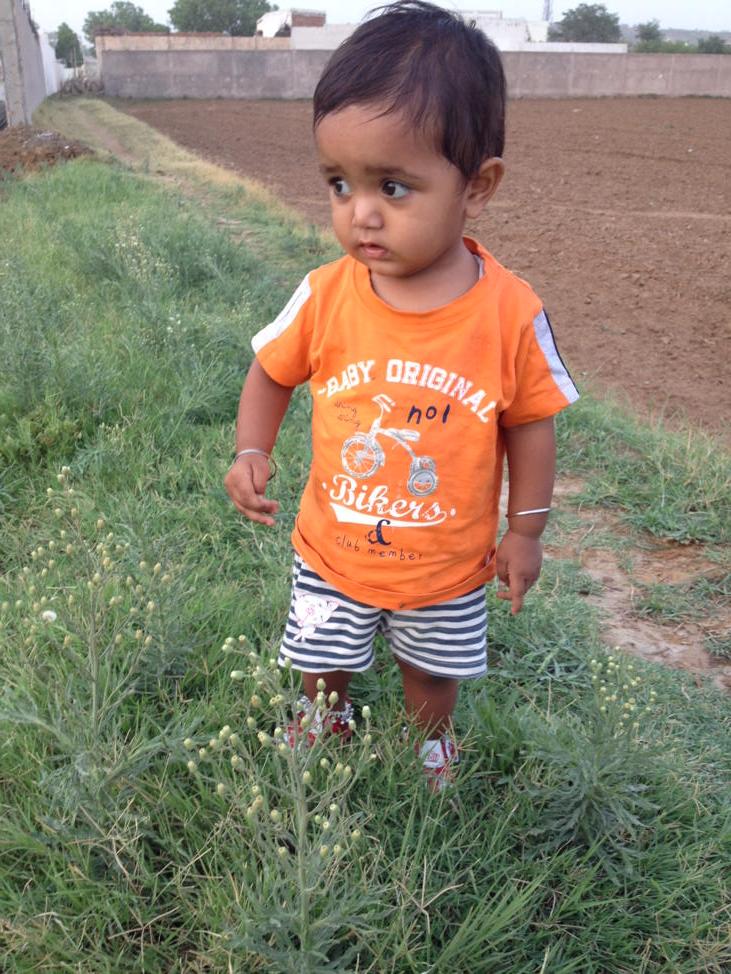 SekharYadav12's tweet image. 