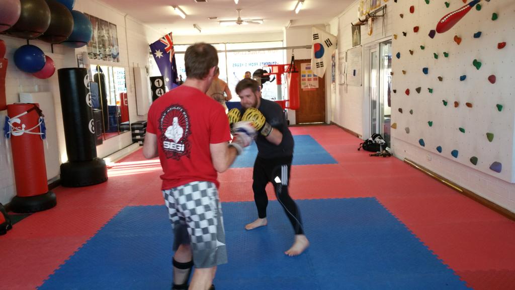 Training session at the hoju martial arts center...36 Crazy Fists for the win