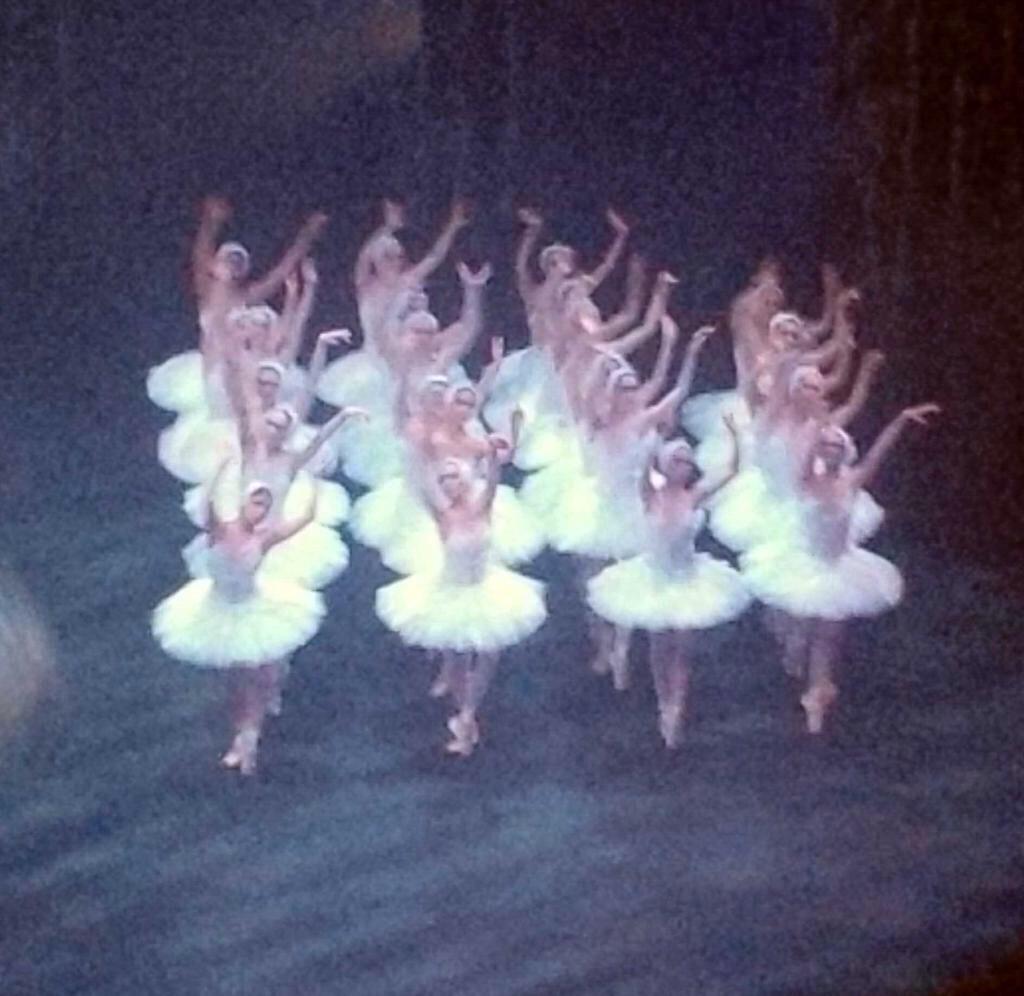 PricewiseWeb's tweet photo. #Swanlake 😍 http://t.co/yv1aAiZvmc
