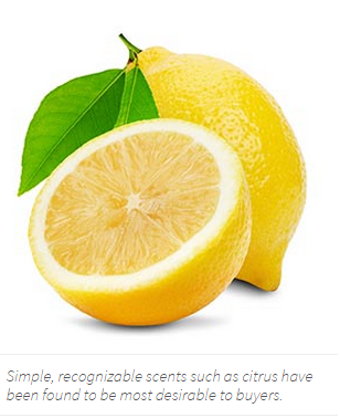 RealDoPro's tweet photo. Some of the best smells to help you sell your home: Lemon, green tea, cedar, pine, basil, and vanilla. http://t.co/dLvERj9zFo
