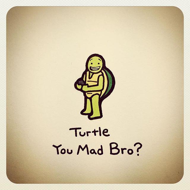 Milkaaaaaa33's tweet photo. Turtle You Mad Bro? by turtlewayne http://t.co/qYKdO0Af9s