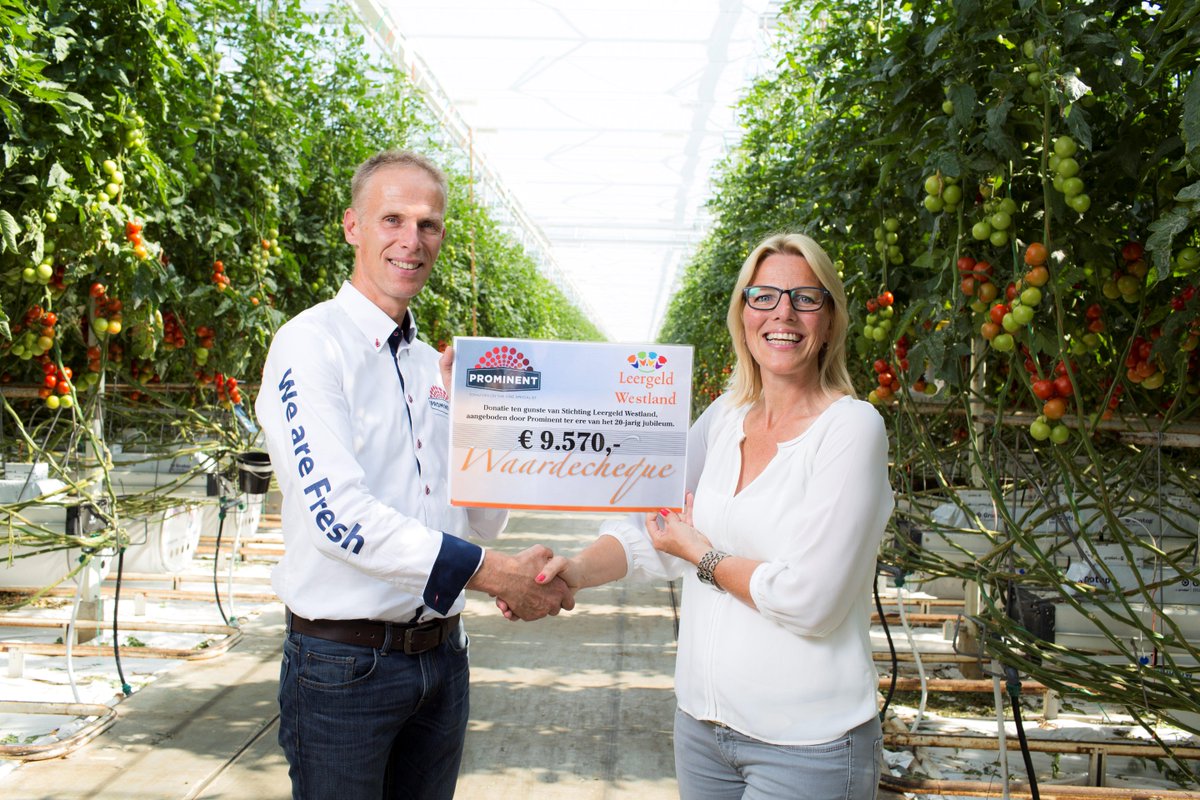 Prominent tomatoes tweet media