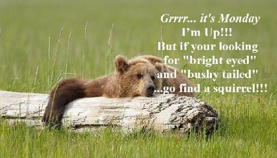 VRogerWilko's tweet image. Yup..Monday...Yup...Sleepy.... #monday #sleepy #nofunction #weekendsaretooshort #sleepwalking #isitoveryet