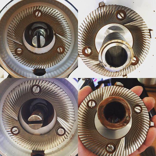 Our head barista @devin_loong found out today that our two EK43 have different versions of 'coffee burrs'. Mahlkoen…