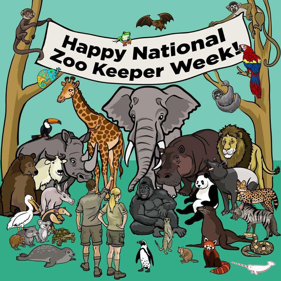 tozookeepers's tweet image. This week is Zoo Keeper appreciation week!