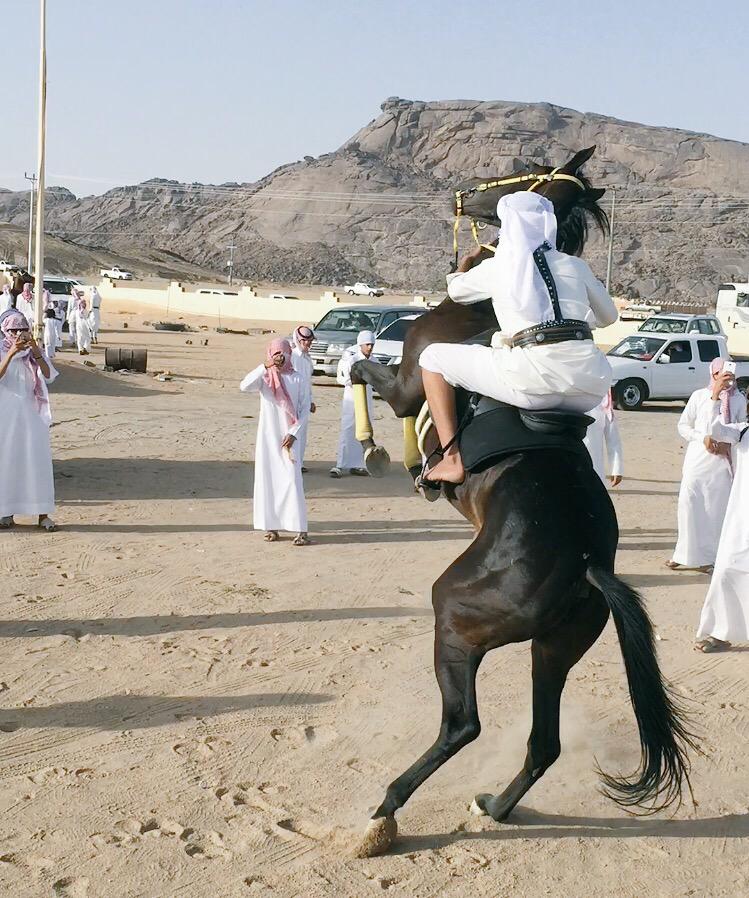 Almjamah tweet picture