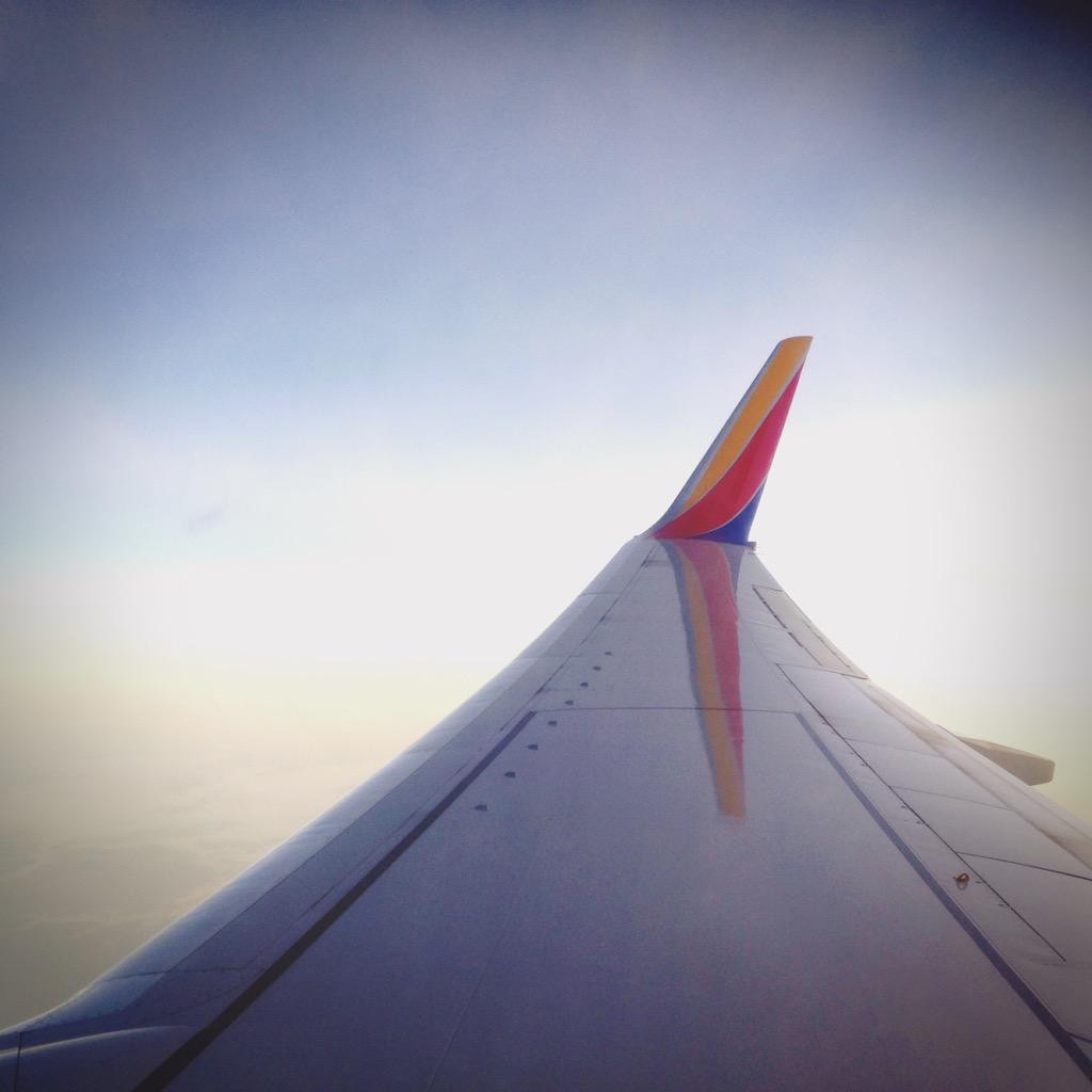 Allie Greenplate tweet media