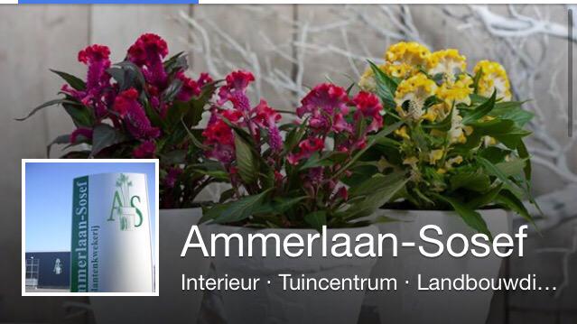 Like ons nu ook op facebook.com/AmmerlaanSosef en zie leuke filmpjes en foto's!