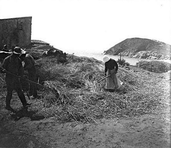 bielmartinroig's tweet image. #Castell de #SantEstevedeMar a #Palamós inicis s.XX habitat per pagesos que batien el blat. #LaFosca #Girona #Empordà