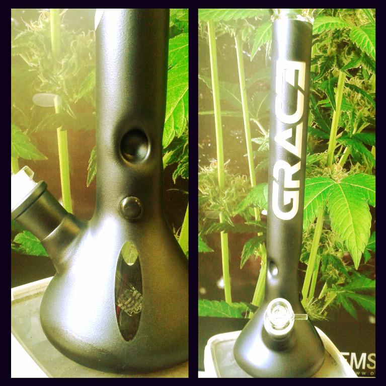 IrieGrowShop's tweet photo. Pasando buena tarde con @DUDShishas  en @IrieGrowShop! http://t.co/GtlwyIWoQW
