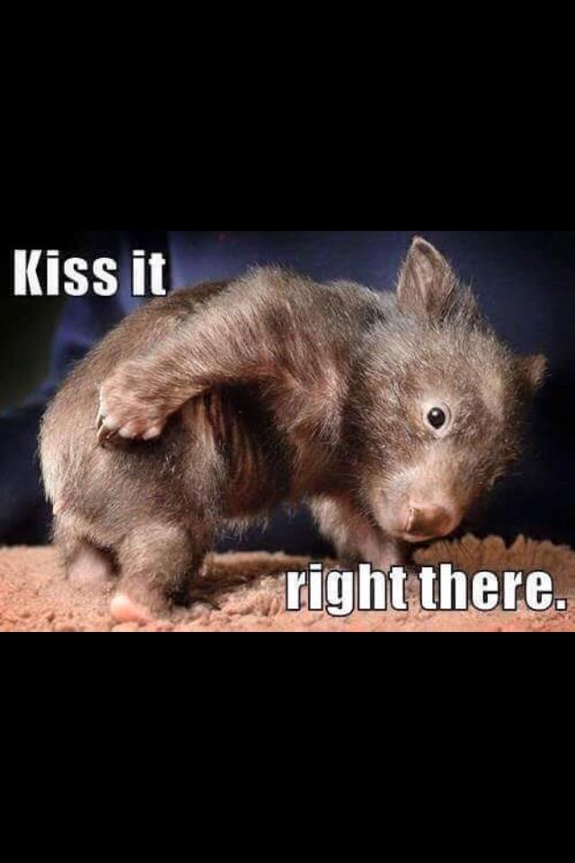 AlexForster96's tweet image. 