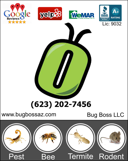 BugBossAZ tweet picture