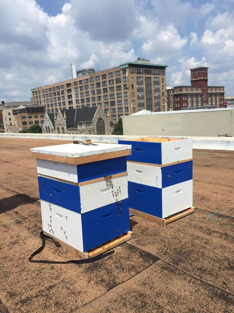 HolyHoneyRS's tweet photo. Summer heat? No prob for Arthur &amp; @PhiladelphiaBee who work the thriving @HolyHoneyRS hives @rodephshalom. So sweet! http://t.co/7vO3F7uXWL