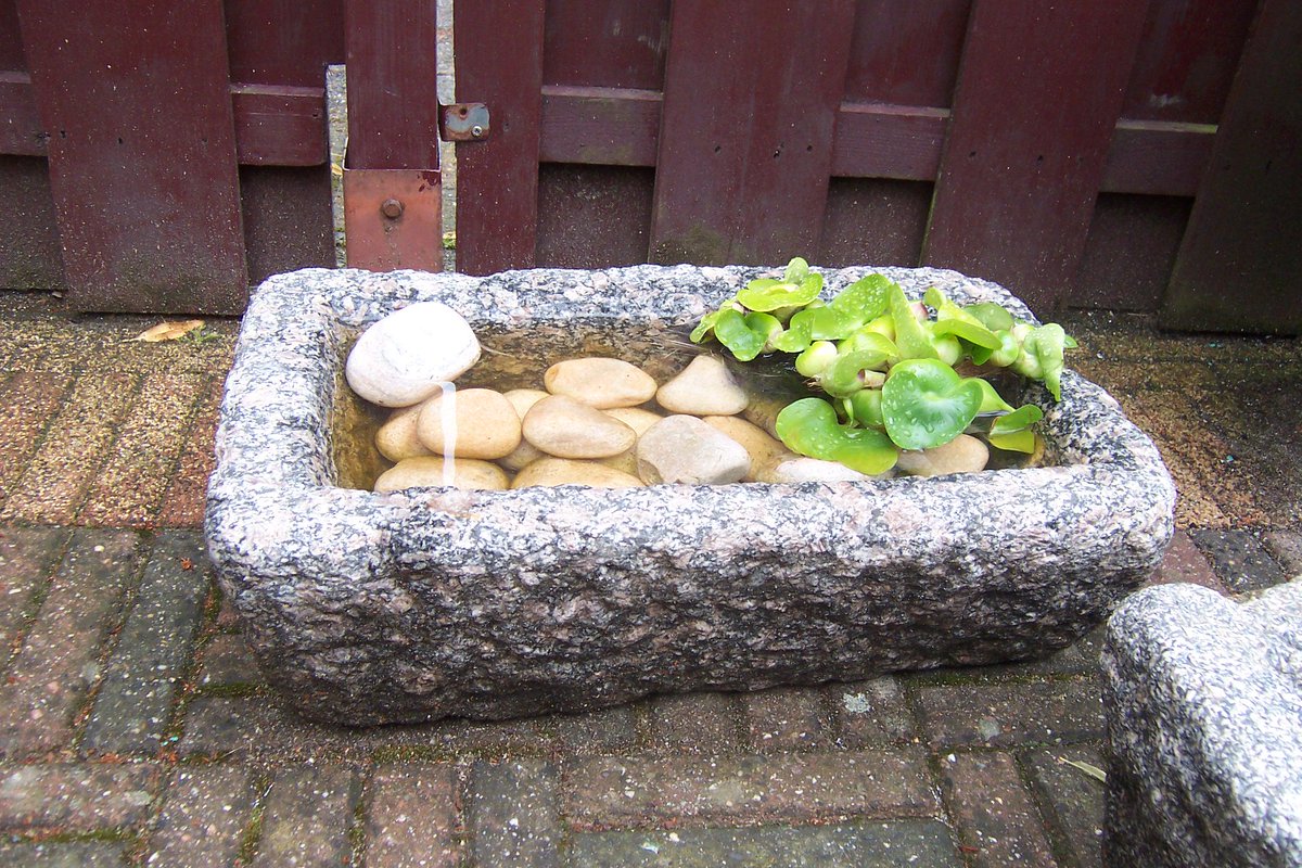 CoolDeco1's tweet photo. Na een ochtend met veel motregen in het Zuiden, is het granieten waterbakje weer goed gevuld. http://t.co/UqneWStIiY