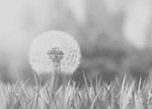 لاَشَئِ يَسْتَدعيِ الكَدرْ ..
فـ الأَيآمْ تُخبيِ الكَثيرْ لكَ 
( أحزانْ , أفراحْ , إشتيآقْ , غُربهْ , وجعْ )