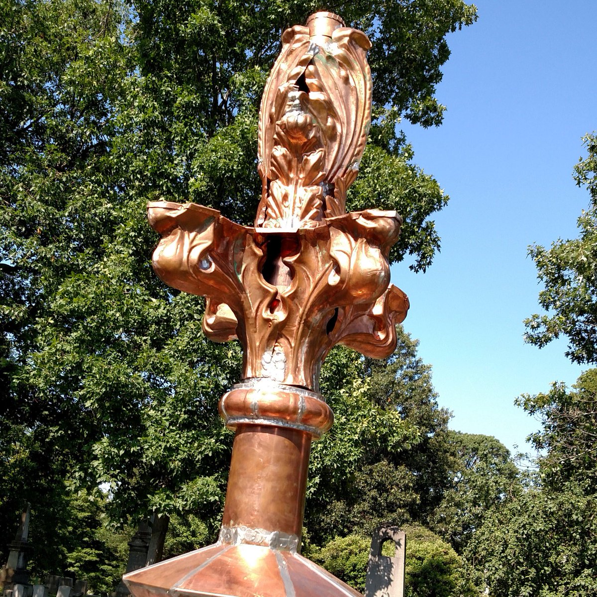 Mount Hope Cemetery tweet media