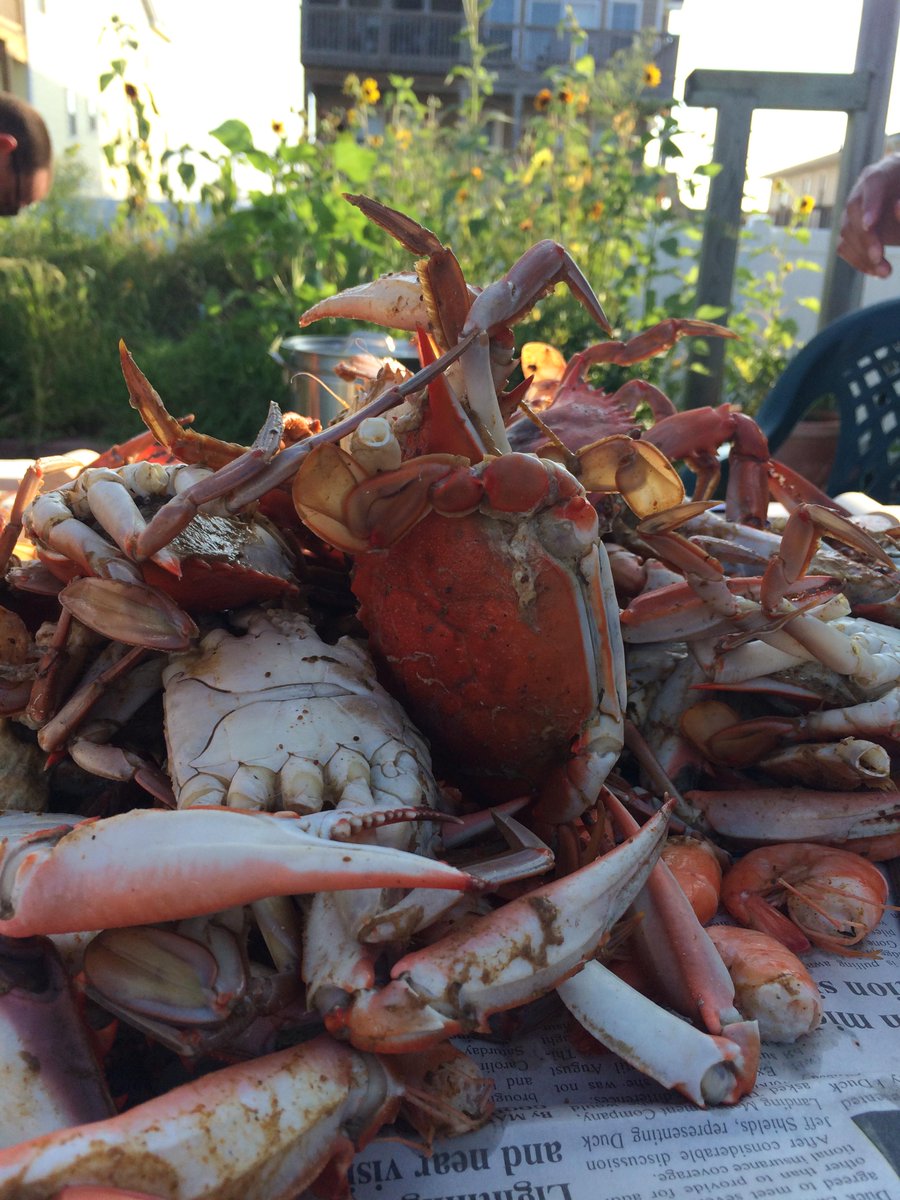 OuterBanksCatch's tweet photo. Nothing makes Monday's better than a Sunday evening crab boil and the premiere episode of Wicked Tuna  #OBX http://t.co/SC4LKEA0dO