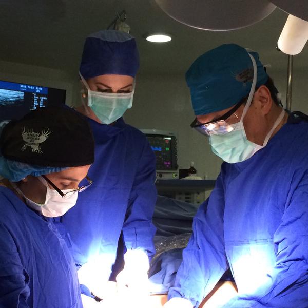 CLVBEAUTYC's tweet image. Hoy el Dr. Arellano presenta al nuevo Doctor q se suma a esta #CadenaDeAyuda del @programa_hoy Cree México T:55849088