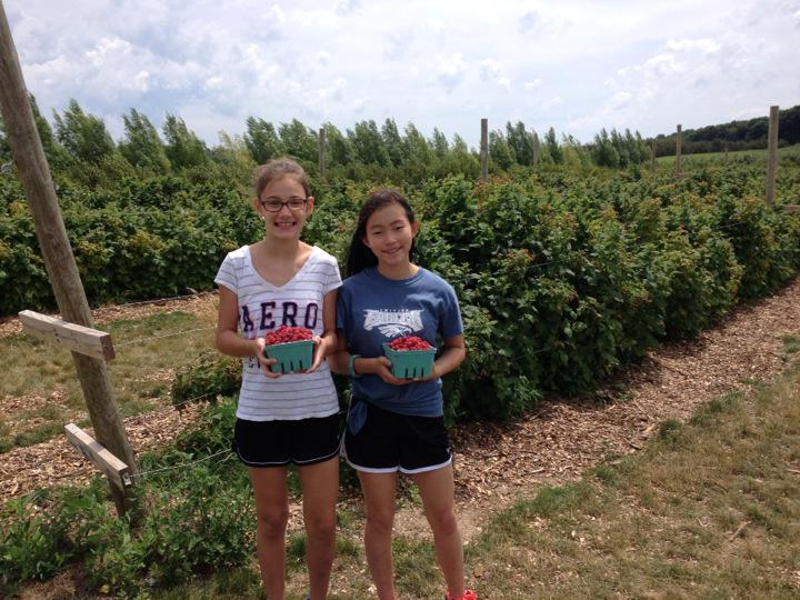 More satisfied berry pickers @ Jacob's Farm. They especially liked the raspberries!