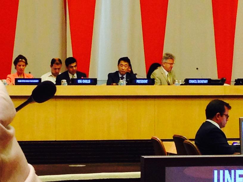 OphelieHemonin's tweet photo. @UN_CFS Chair @GerdaVerburg presents #CFS41 report & ongoing discussions to #ECOSOC CMM @UNFAO @WFP @IFADnews http://t.co/eB3i1PnJ6A