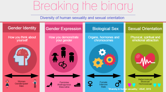 TFSS SAFE🏳️‍🌈 on Twitter: &quot;Infographic on #gender and #sexuality (doesn&#39;t  include the asexual - demi - allosexual spectrum, or pan/poly one)  http://t.co/KcK8o51zkr&quot;