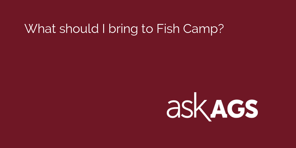 AskAgs's tweet photo. What should I bring to Fish Camp?

See what students say: https://t.co/yhdIgA10wL http://t.co/x2q6NdFeSA