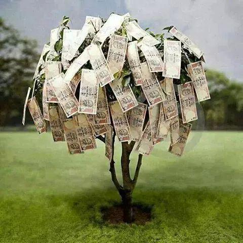 rahuldev1234552's tweet photo. http://t.co/yJeYl5Z6uU