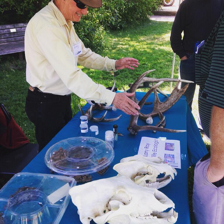 EllisNatCentre's tweet photo. Learning from the experts at Bioblitz. #ellisbirdfarm #ebfseason2015 #bioblitz2015 http://t.co/mrPPu57mMr