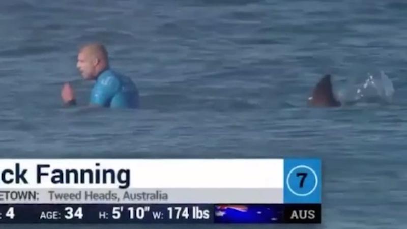HappyPlace's tweet photo. ICYMI: This could have been way worse: shark attack on live TV ends surf competition finals. http://t.co/jJEYTIX32N http://t.co/6bQOuecvIR