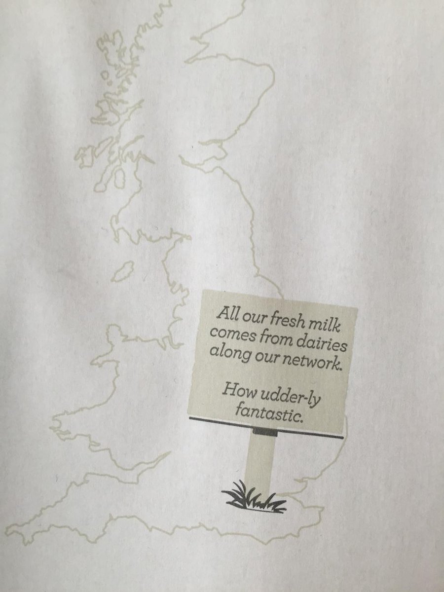 sunnyholt's tweet image. #tryingtoohard