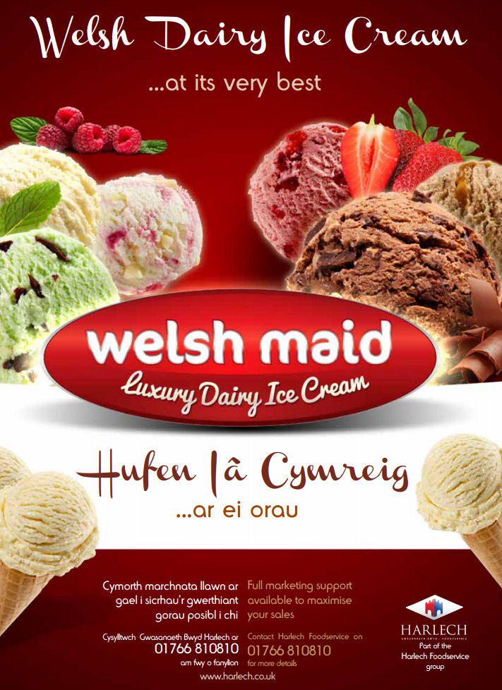 RainbowBizArt's tweet photo. Diolch i / Thanks to @Welsh_Maid am fod ein / for being our  #330th dilynwr /follower #Yayness @RainbowBizUK http://t.co/xRqahOTFWk