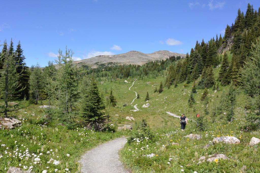 visitormaptweet's tweet photo. Mmm hmm #inbanff RT @SunshineVillage: "We'd rather be hiking." Retweet if you'd rather be in the mountains today. http://t.co/b8e9WdhoJk