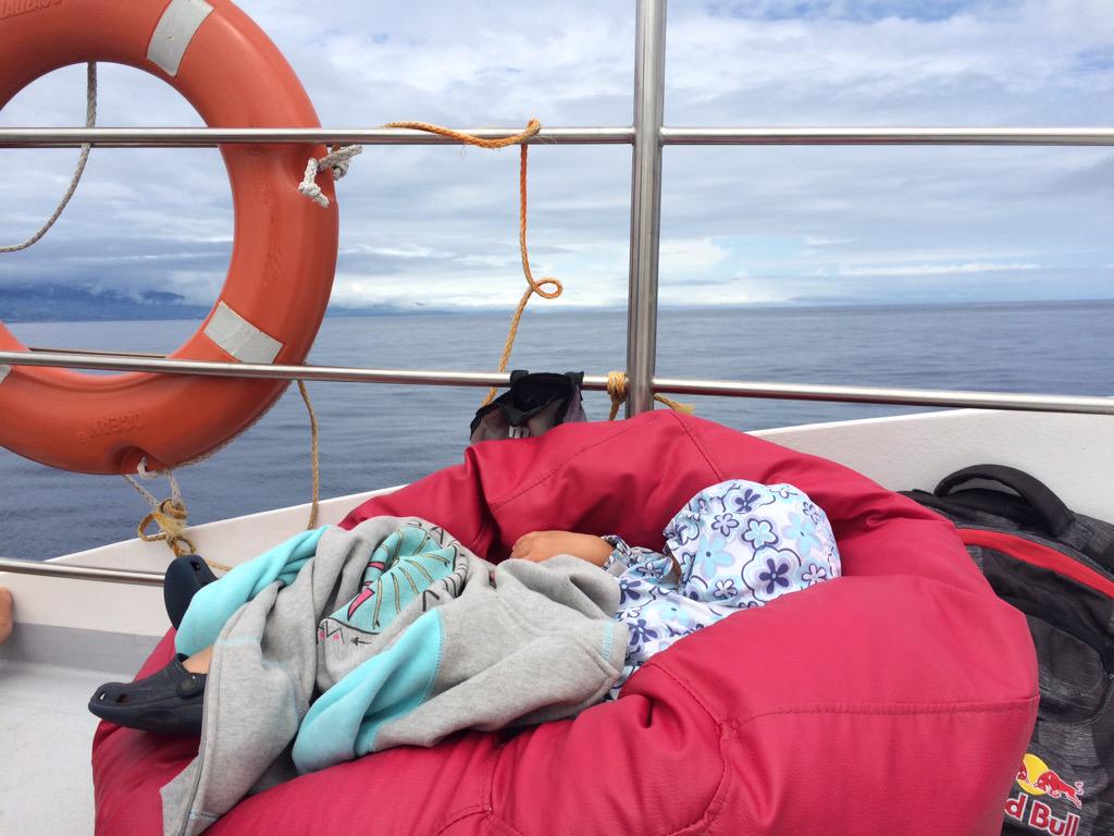 ace_winston's tweet photo. Been whale watching today #yawn http://t.co/HXoadnTJ3r
