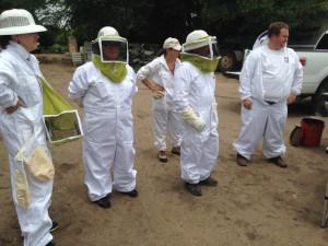 NMBeekeepers tweet picture