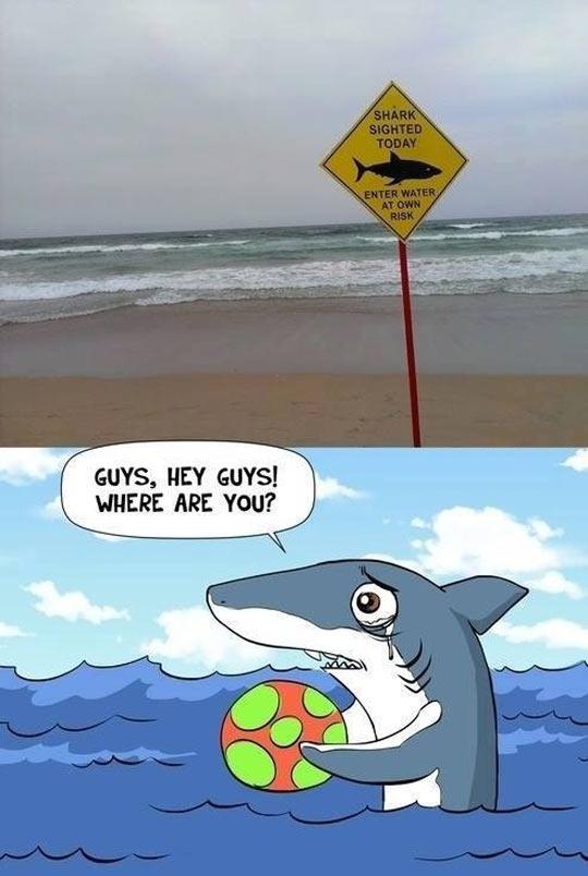 <a href="/JbayShark/">JBay Shark</a> current situation at Jeffreys Bay 
#comeback #Duuundunduuundundundundundundundun