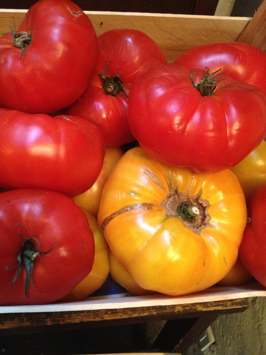 La carte de l'été et notre menu tomate sont là -> bit.ly/étéalatupina