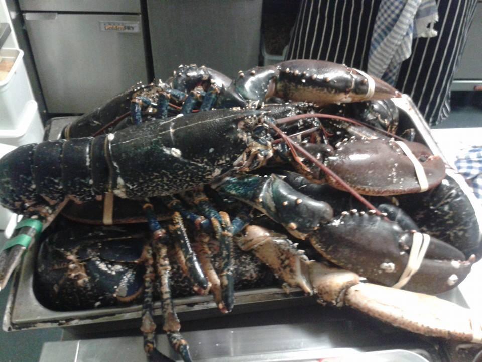 DublinMSB's tweet photo. #LobsterTuesday tomorrow night!!! €15/€25 Half/Whole 016688862 for reservations http://t.co/Ofl0x7dhvX