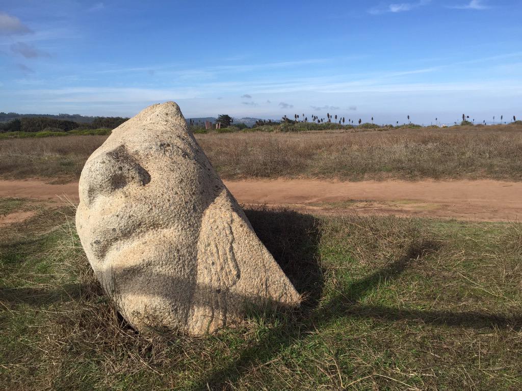 Rodrigo Guendelman tweet media